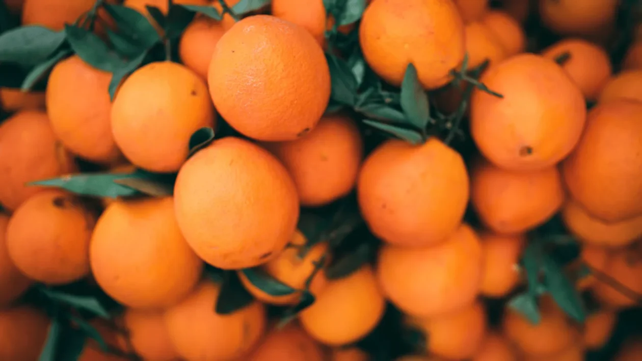 Ilustrativna fotografija za članak o naranča: kako je koristiti, čuvati i pripremiti