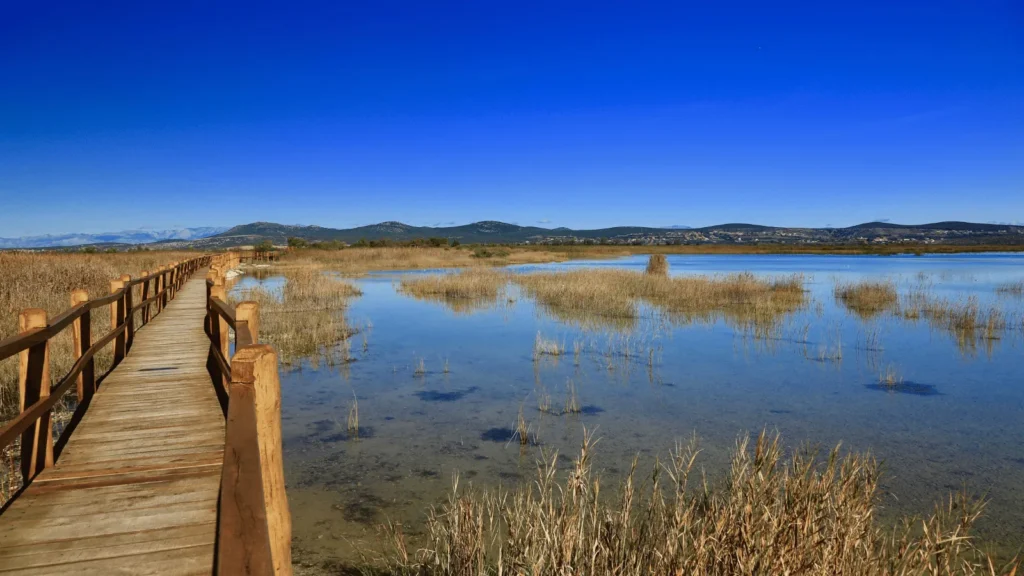 Proljetni program događanja u Pakoštanima 2026 uz tradiciju, gastronomiju i sport