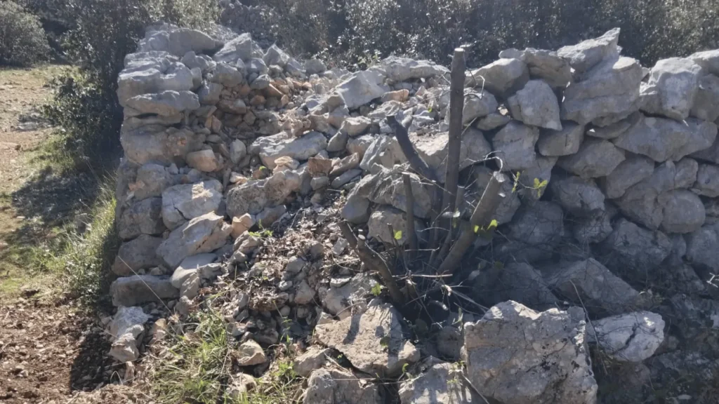 Olib uspješno čuva suhozidnu baštinu uz potporu Grada Zadra