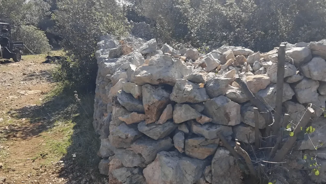 Olib uspješno čuva suhozidnu baštinu uz potporu Grada Zadra