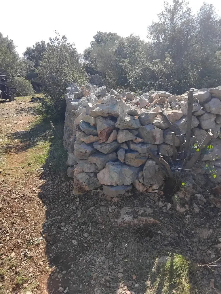 Olib uspješno čuva suhozidnu baštinu uz potporu Grada Zadra