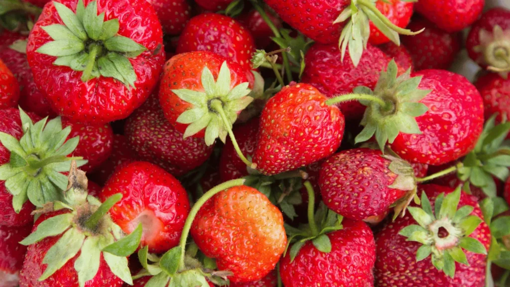 Ilustrativna fotografija za članak o jagoda: kako je koristiti, čuvati i pripremiti