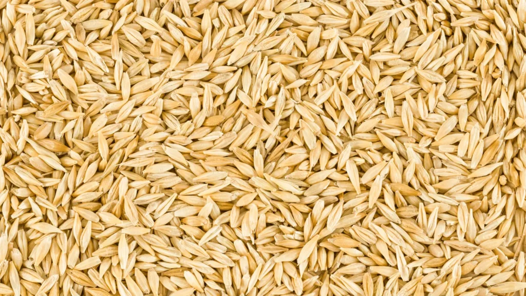 Ilustrativna fotografija za članak o ječam: kako ga koristiti, čuvati i pripremiti