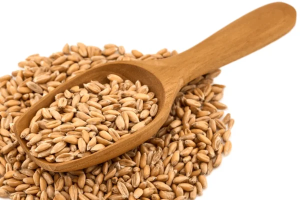 Ilustrativna fotografija za članak o ječam: kako ga koristiti, čuvati i pripremiti