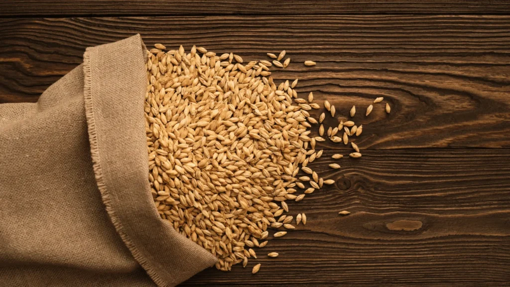 Ilustrativna fotografija za članak o ječam: kako ga koristiti, čuvati i pripremiti