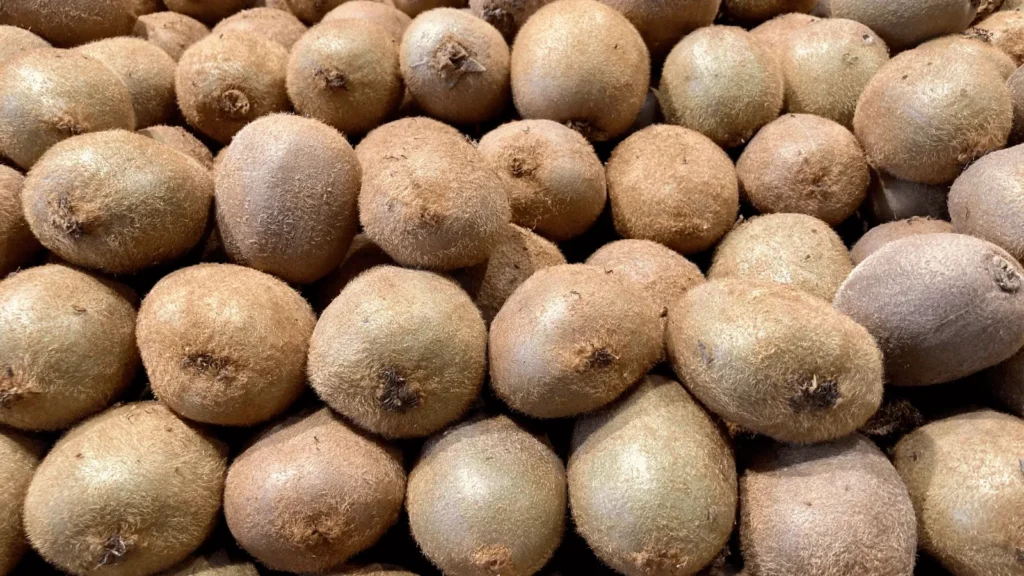 Ilustrativna fotografija za članak o kivi: kako ga koristiti, čuvati i pripremiti