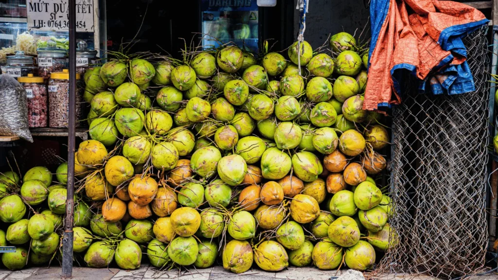 Ilustrativna fotografija za članak o kokos: kako ga koristiti, čuvati i pripremiti