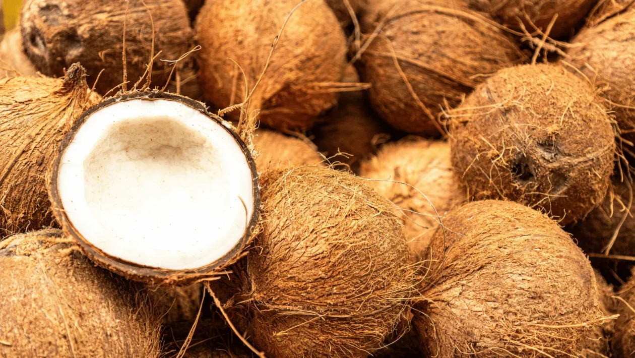 Ilustrativna fotografija za članak o kokos: kako ga koristiti, čuvati i pripremiti