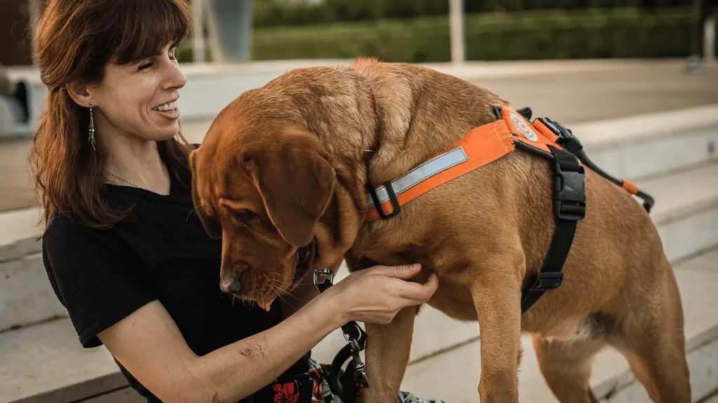 Završna konferencija trogodišnjeg programa pasa pomagača u Crvenoj Luci u Biogradu na Moru 2026.