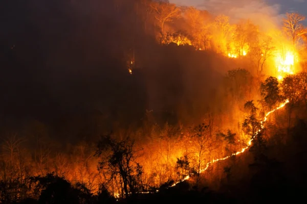 Videonadzor šumskih područja u sklopu projekta FIRESTOP