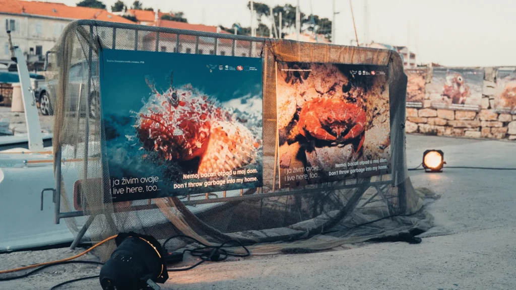 Saljski port tijekom Festivala mora i soli s brodovima i posjetiteljima