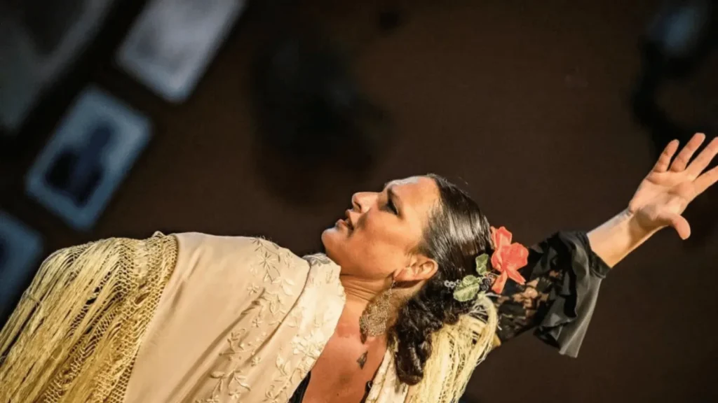 nastup umjetnika na festivalu Sete Sóis Sete Luas u Zadru