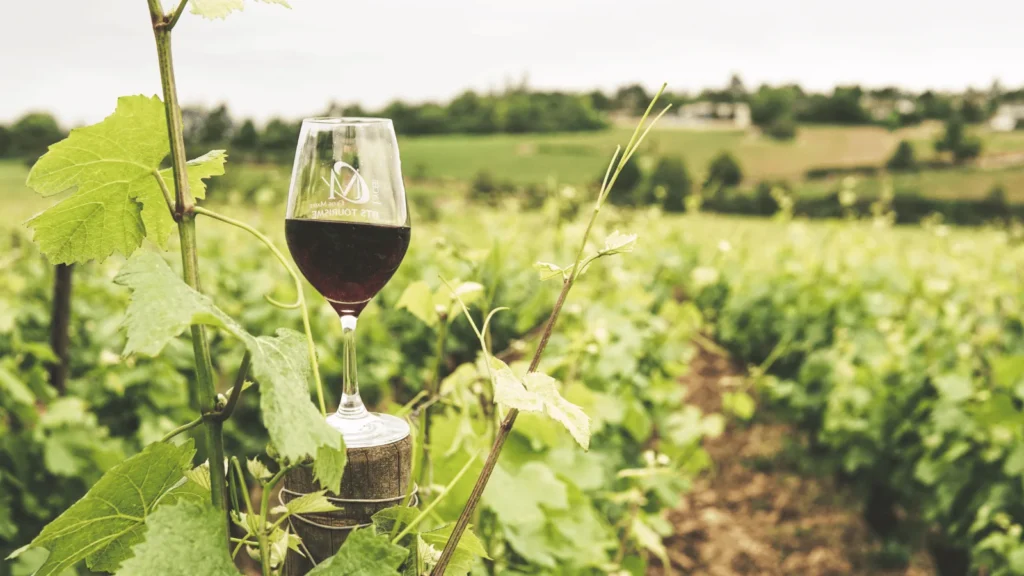 Vinfest Benkovac 2026 – ocjenjivanje vina u Kaštelu Benković