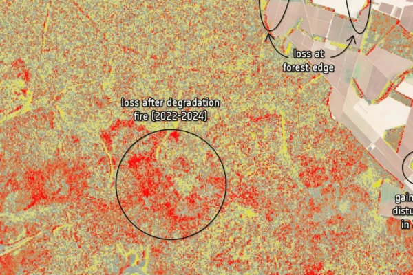 Degradacija tropskih šuma Ključni uvidi za globalne klimatske modele