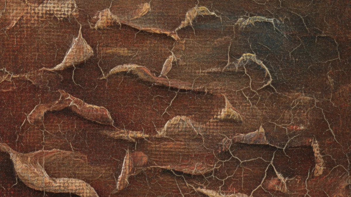 Detalj teksture i materijala karakterističnih za rad: Leonardo da Vinci