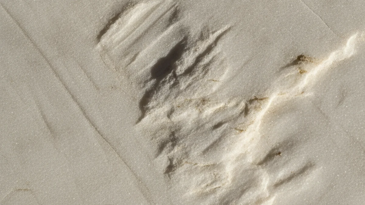 Detalj teksture i materijala karakterističnih za rad: Michelangelo Buonarroti