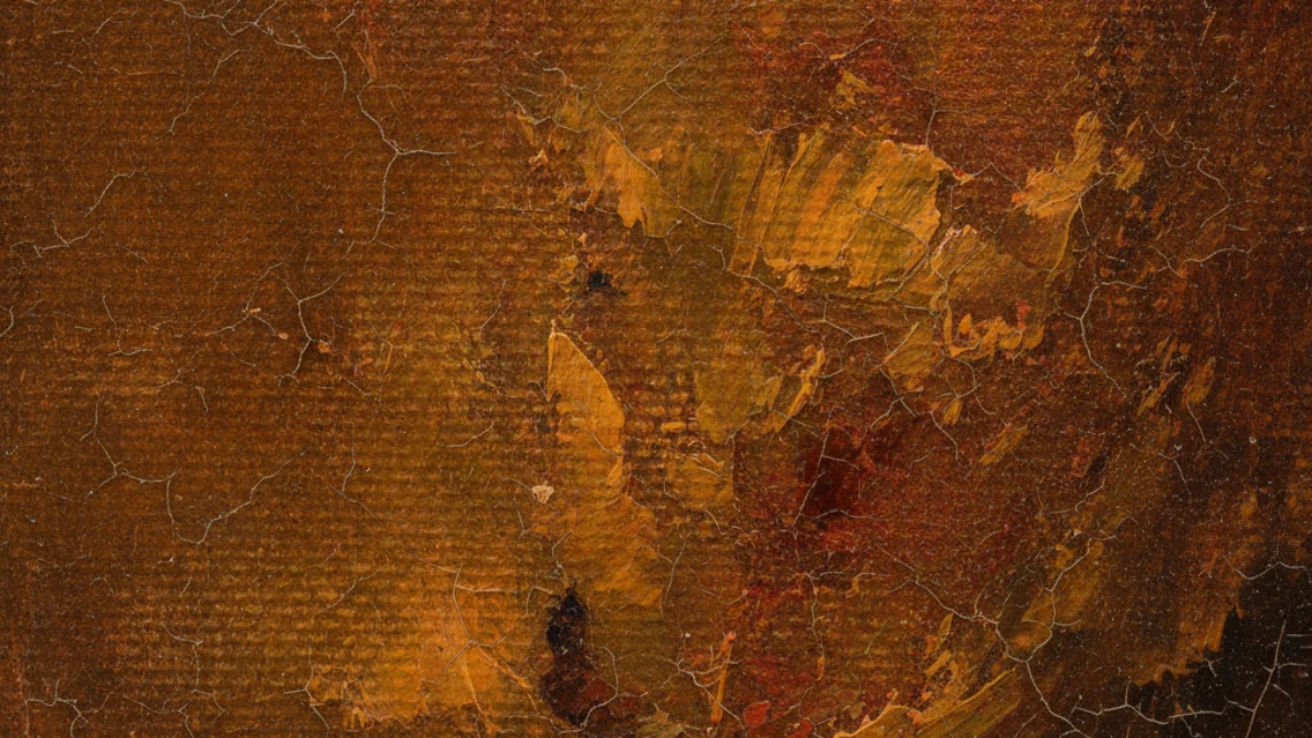 Detalj teksture i materijala karakterističnih za rad: Rembrandt van Rijn
