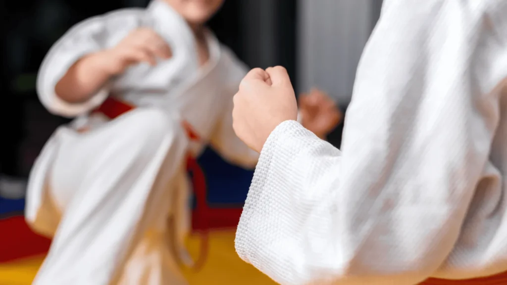 Članovi Taekwondo kluba TITAN tijekom treninga u Zemuniku Donjem