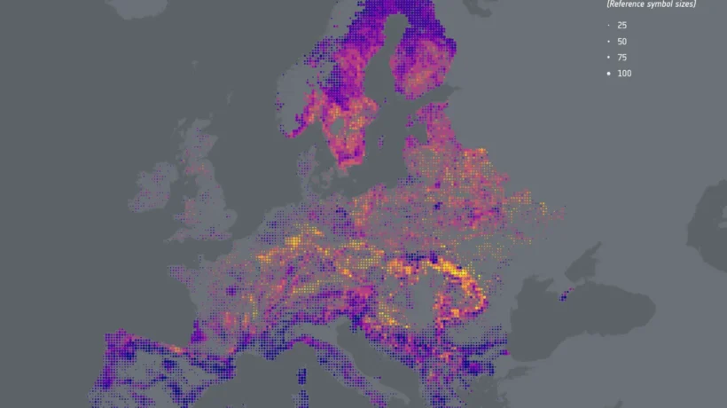 Alarmantan Gubitak Šumske Biomasa u Europi Šume Gube Više Nego Ikada Prije
