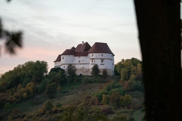 dvorac