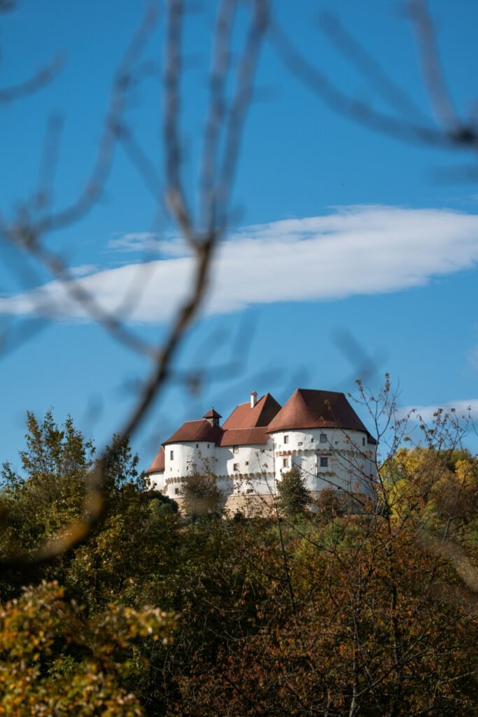 obnova