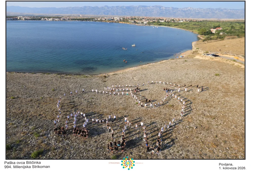 994. Milenijska fotografija na Rastavcu u Povljani s motivom paške ovce Biličinke