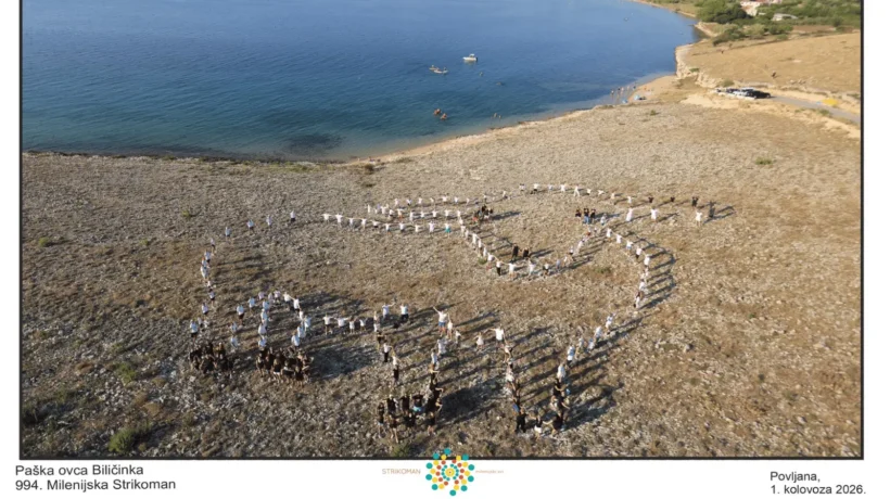994. Milenijska fotografija na Rastavcu u Povljani s motivom paške ovce Biličinke