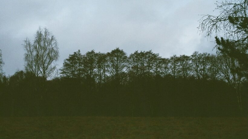 tarkovsky