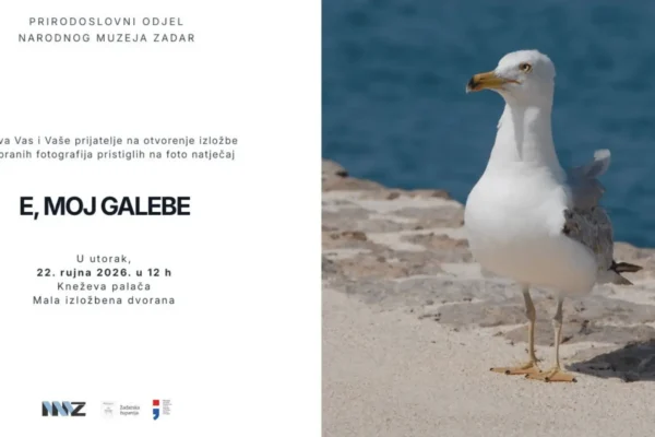 Izložba E, moj galebe u Narodnom muzeju Zadar