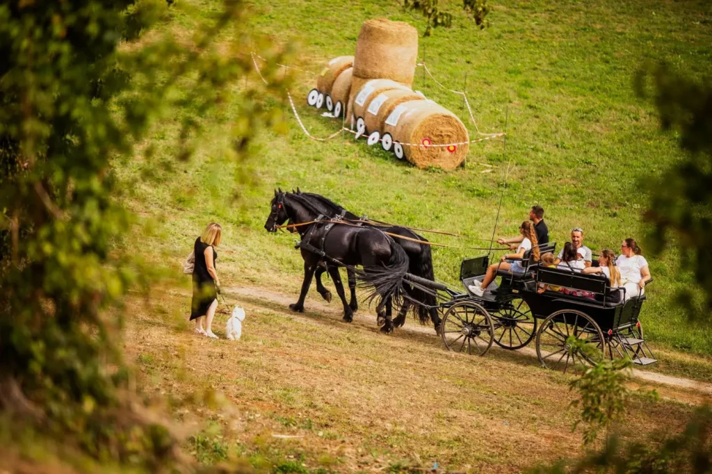 Kočija s dva crna konja vozi nizbrdo po stazi, dok je vuče. Na kočiji se vozi nekoliko ljudi, a pored nje stoji žena sa psom. U pozadini se nalaze bale sijena