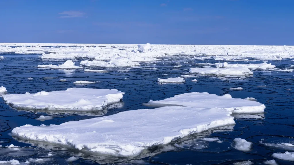 Komadi leda plutaju na tamnoplavoj vodi pod vedrim plavim nebom stanje oceana