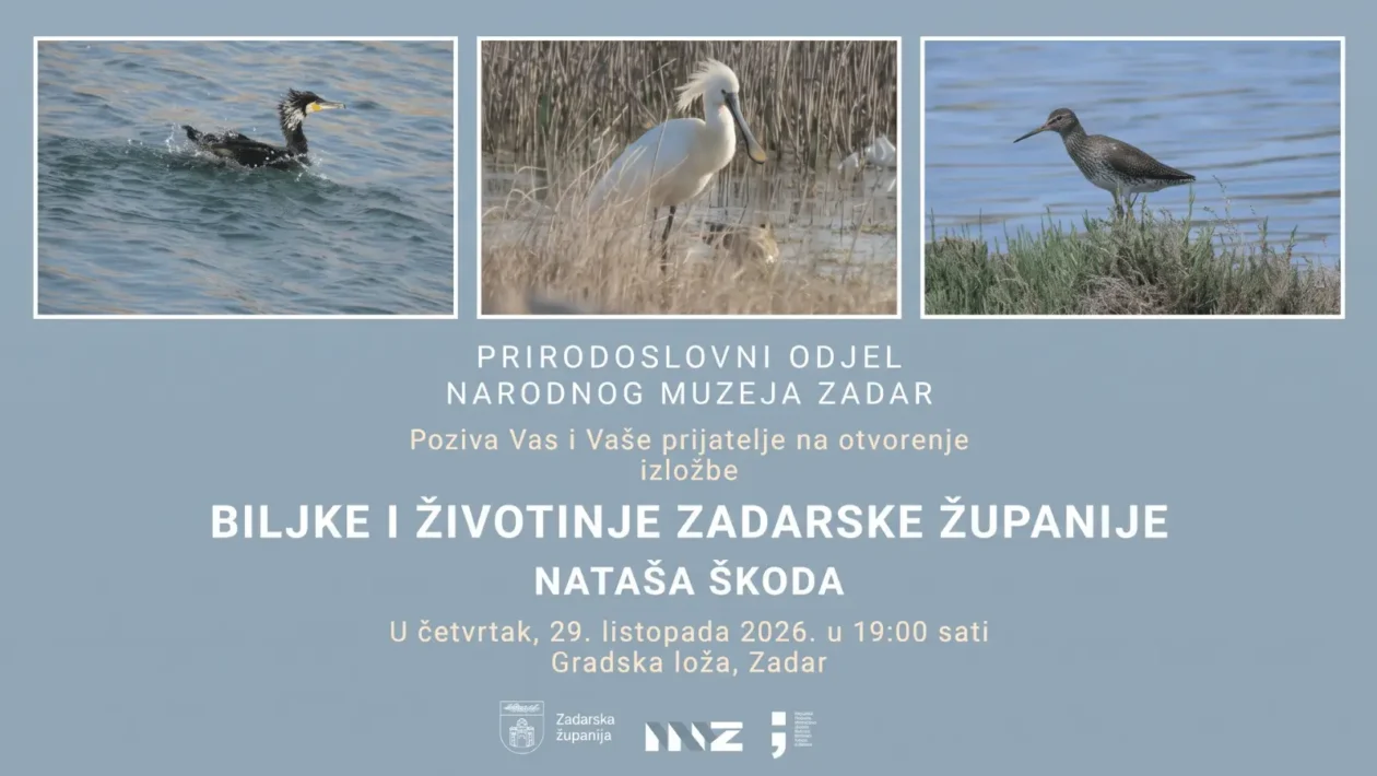 Prirodoslovni odjel Narodnog muzeja Zadar poziva na otvorenje izložbe 'Biljke i životinje Zadarske županije' autorice Nataše Škoda, 29. listopada 2026. u 19:00 u Gradskoj loži, Zadar Izložba Nataše Škode