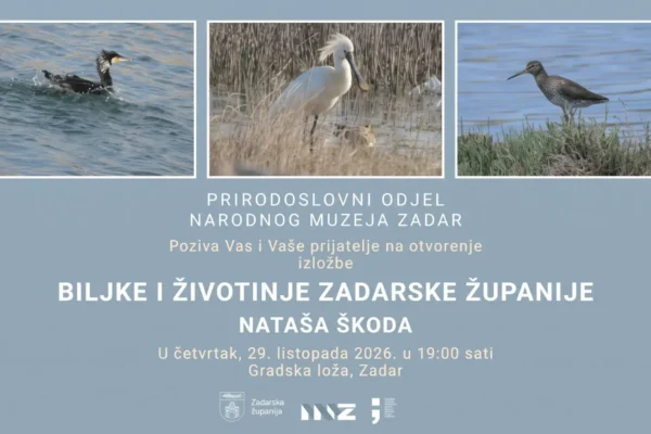 Prirodoslovni odjel Narodnog muzeja Zadar poziva na otvorenje izložbe 'Biljke i životinje Zadarske županije' autorice Nataše Škoda, 29. listopada 2026. u 19:00 u Gradskoj loži, Zadar Izložba Nataše Škode