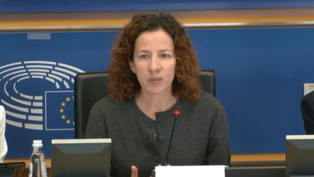 Kvaliteta poslova EU Roxana Mînzatu