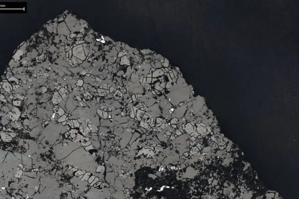 Marsov meteorit Teghaza 001 (1)