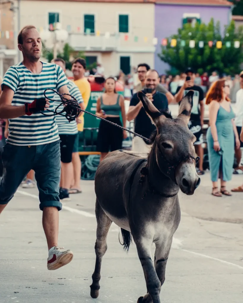 Saljske užance 2026 2