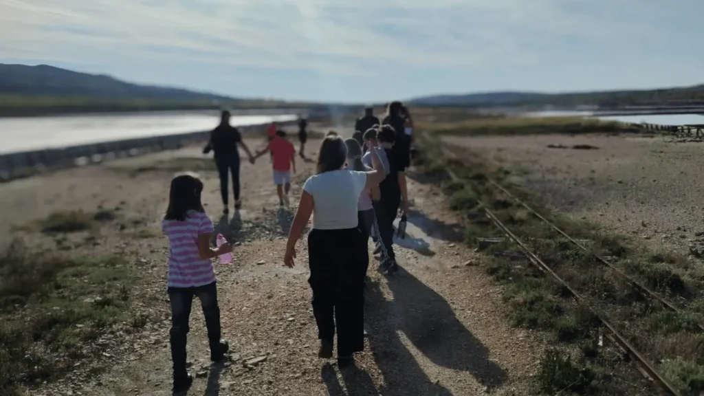 birdwatching Pag promatranje ptica Pag
