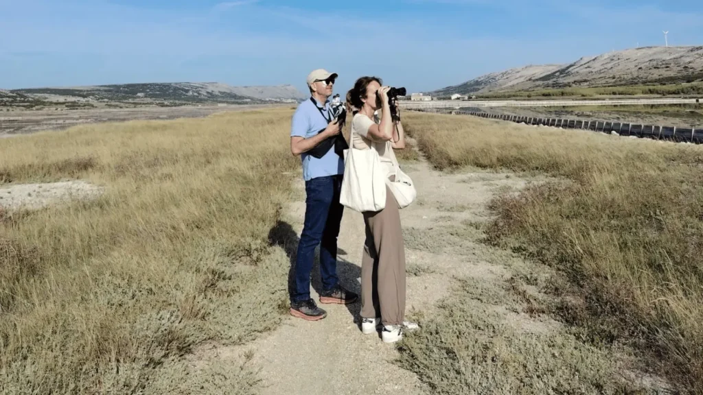 birdwatching Pag promatranje ptica Pag