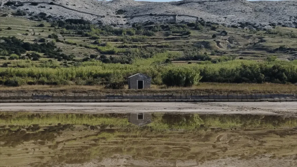 birdwatching Pag promatranje ptica Pag