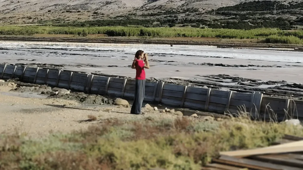 birdwatching Pag promatranje ptica Pag