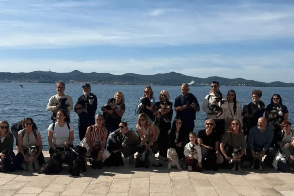 patuljasti šnaucer zadar 2026